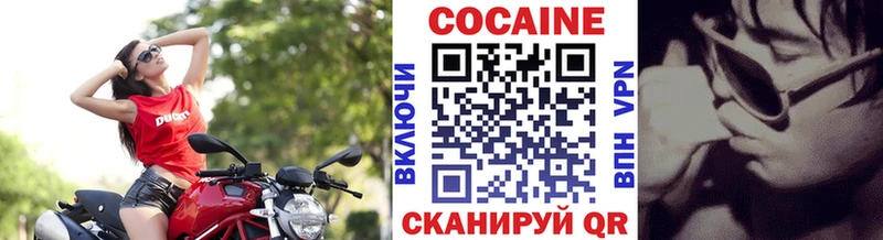 Cocaine FishScale  Узловая 