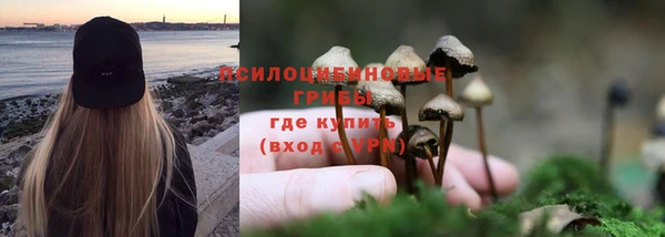 бутират Козельск